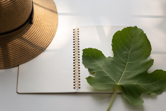 Fig leaf on paper
