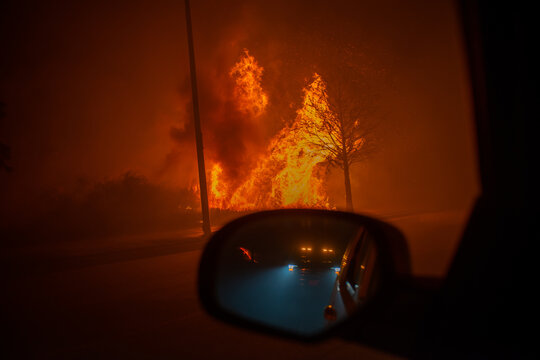Urban Wildland Fire