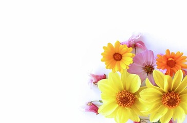 Summer bouquet with yellow dahlias on a white background. A bright festive composition. Background for a greeting card.