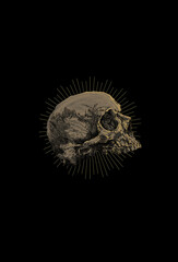 Skull with light vector illustration