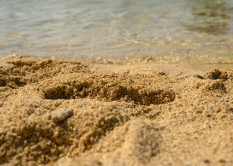 Fototapeta na wymiar A sandy beach with blurry ocean at the background