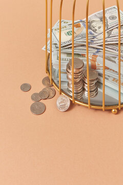 Close up of golden cage with dollar banknotes.