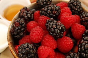 Bowl de frutos rojos con miel a lado 