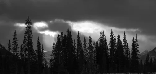 Keuken foto achterwand Mistig bos magic lights through clouds on the forest in Rockies Canada