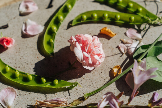 Tea rose and fresh green peas.