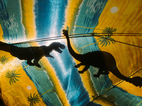 Shadows from toy dinosaurs.