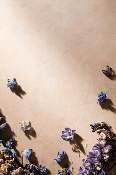 Rustic Flatlay Blue Floral and Warm Stone Background