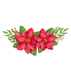 poinsettia