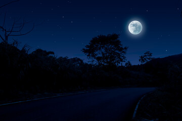 Dark blue night landscape with empty road