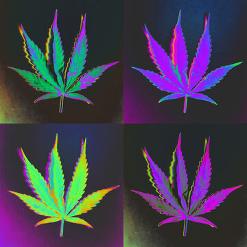 Four different colored marijuana, cannabis leafs background