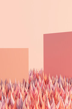 Aloe vera and walls