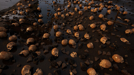 Beach full of bones after the shipwreck