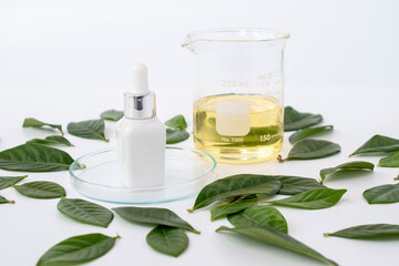 skincare blank bottle packaging or essential oil dropping with green leaves on white background natural concept