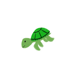 turtle crayon illustration