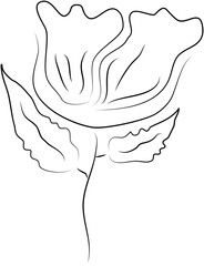 Hand drawn floral. Element pencil sketch flower.