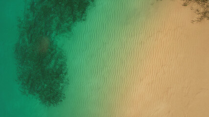Tropical Beach Background 
