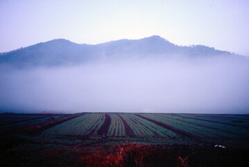 霧に包まれた山と農場