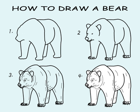 Step by step to draw a Bear. Drawing tutorial a Bear. Drawing lesson for children. Vector illustration	