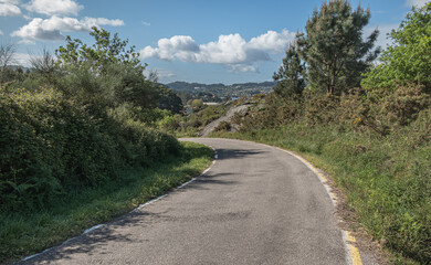 road with curve across forest in Spain