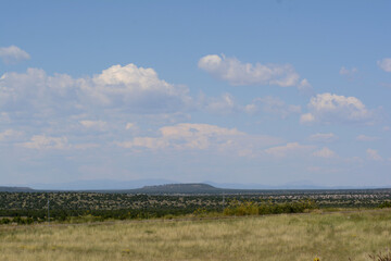 New Mexico Landscape