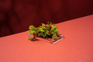 moss and cranberries on plastic prism