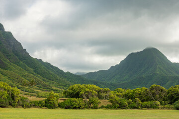 Lush Green Hawaiian Valley