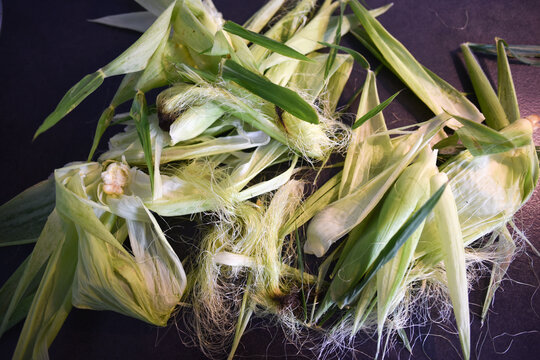 husk from corn