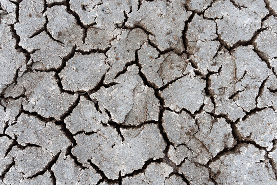 Dried up soil as a result of lack of rain