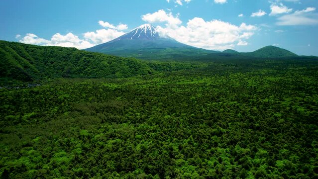 青木ヶ原樹海と富士山を空撮