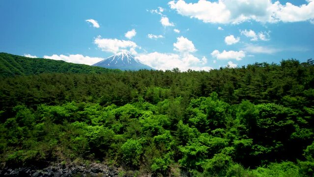 青木ヶ原樹海と富士山を空撮