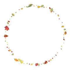 Leaves Falling Autumn Foliage Chaotic Leaf Flying