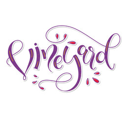 Vineyard purple lettering with red splashes isolated on white background. Vector illustration