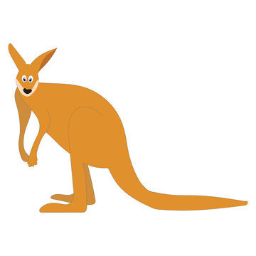 Set of wild Animal Flat Cartoon, Kangaroo. Cute Character Vector Illustration.