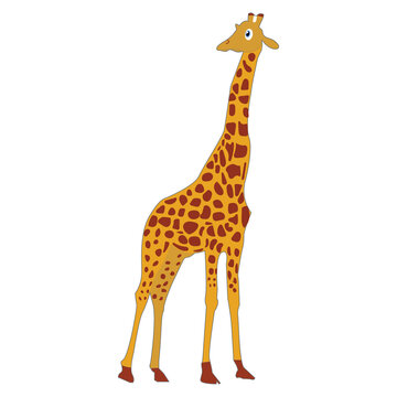 Set of wild Animal Flat Cartoon, Giraffe, Cute Character Vector Illustration.