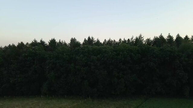 rising drone images fly over meadows to large forests at dusk