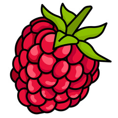 raspberry