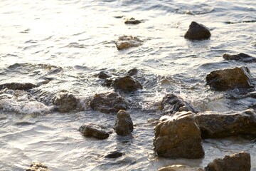 rocks on the beach