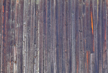 A fragment of an old wooden wall on an autumn day