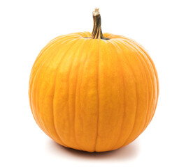 Orange pumpkin on white background. haloween concept.
