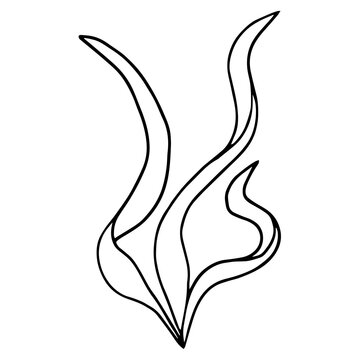 recommend clip art: Seaweed with thin long leaves. Contour drawing with black line isolated on white background. Elements of the sea vector illustration.