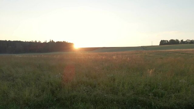 low-flying drone images over meadows at sunset with beautiful sun flares in the background the woods