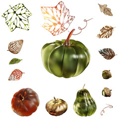 3D illustration render Autumn clip art transparent set of elements pumpkin nuts leaves