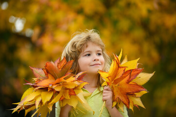 Naklejka na ściany i meble Autumn kids mood. Child with fall leaves over maple leaf background.