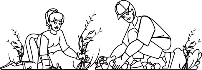 couple gardering line pencil drawing vector. man woman summer, happy nature, lifestyle young family, home leisure couple gardering character. people Illustration