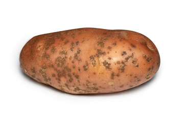 potato