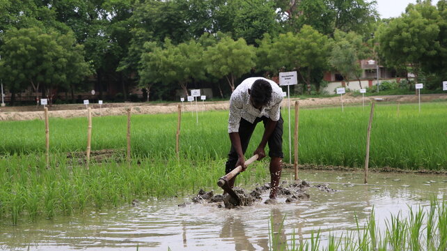 Bunds (also called teras) are small barriers to runoff coming from external catchments (and possibly to a field where crops are to be grown). 