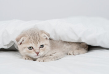 Fototapeta na wymiar Cute kitten lying under white warm blanket on a bed at home