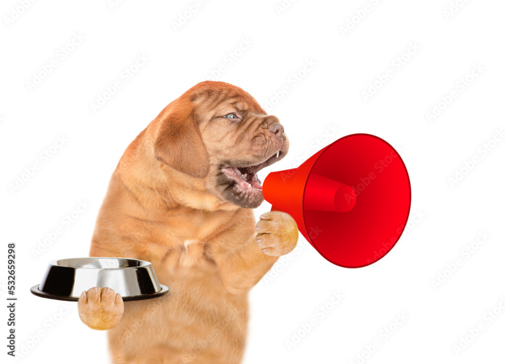 Poster mastiff puppy holding empty bowl and screaming into a megaphone. isolated on white background