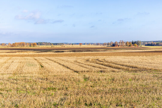 Stubble field after the harvest in autumn
