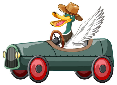 Soapbox derby with duck driving car